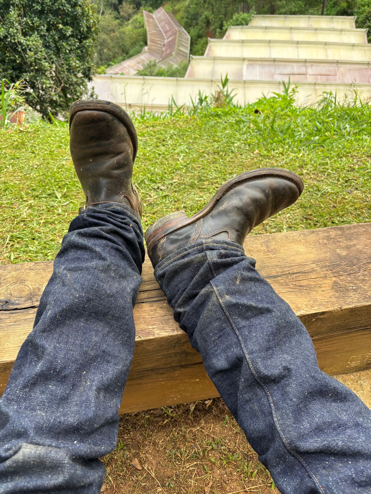Photo by reothich on September 17, 2025 of the Wesco Mister Lou in Maryam Black Horsehide.
