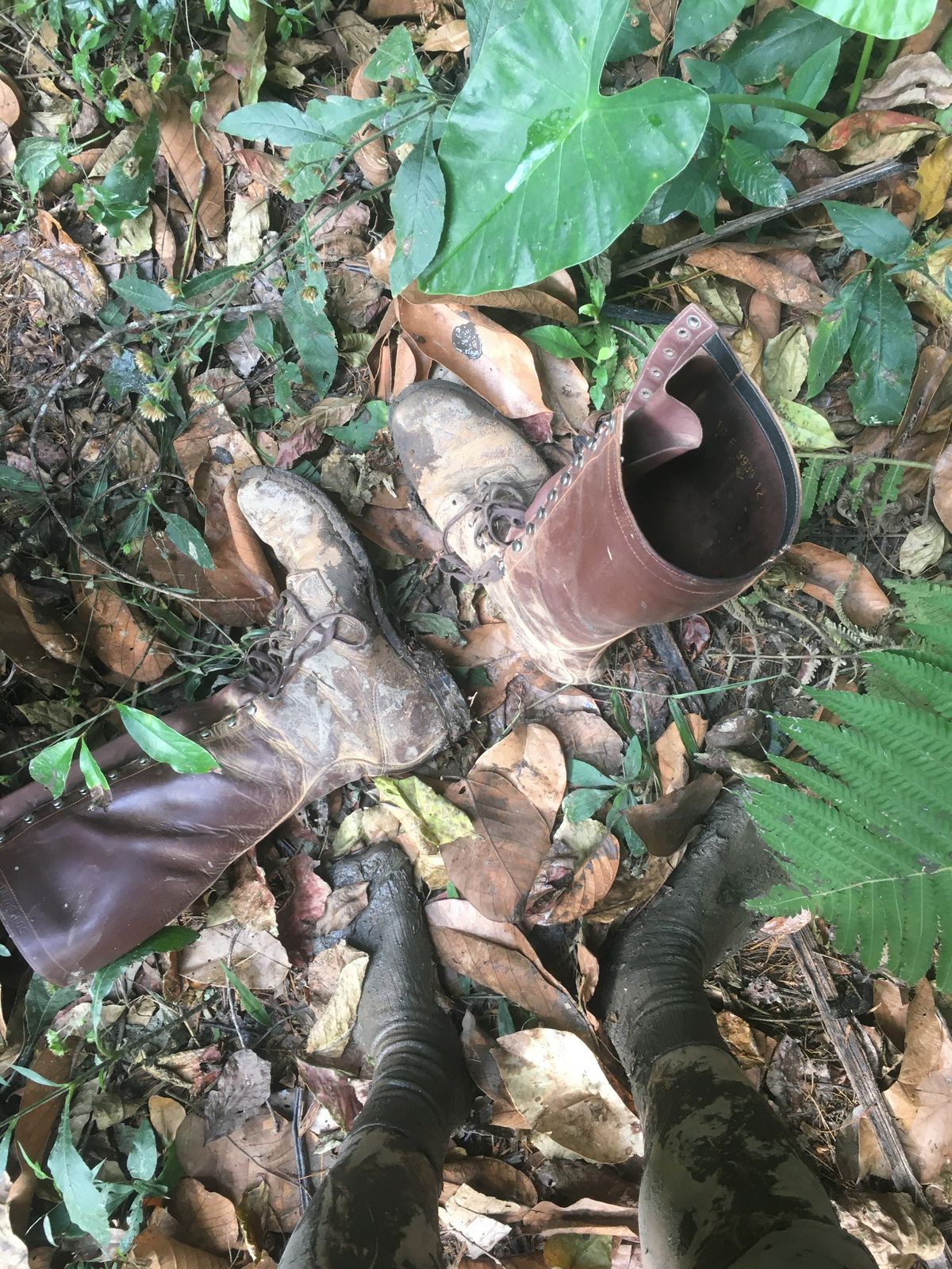 Photo by reothich on March 6, 2023 of the Star Brand 1930s 16-Inch Boots in Unknown Leather.