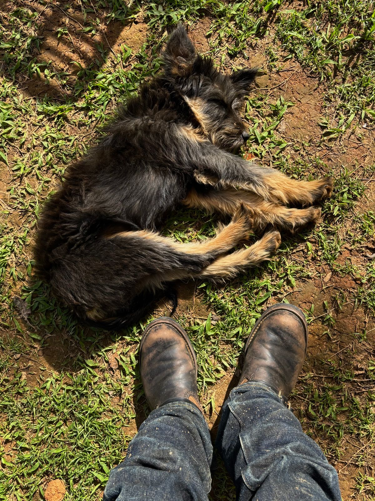 Photo by reothich on December 8, 2025 of the Wesco Morrison in Horween Black Chromexcel Horsehide & Horween Brown Chromexcel Horsehide.