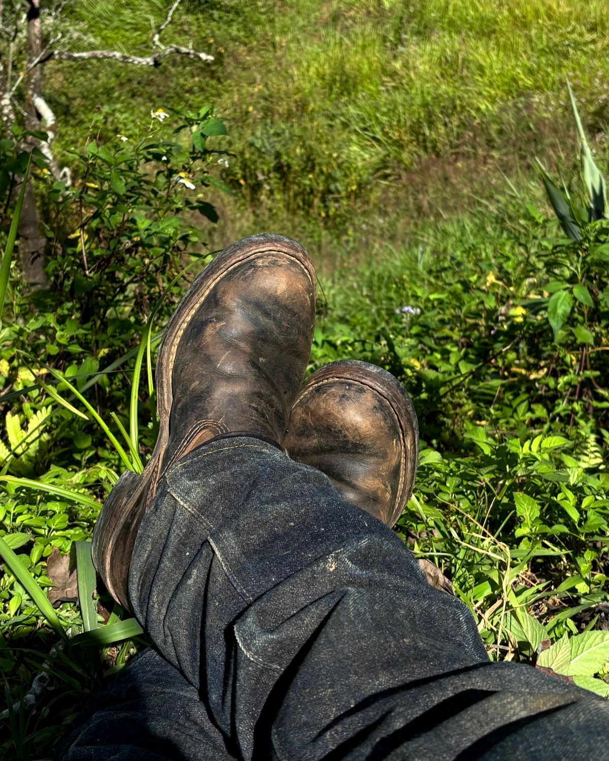 Photo by reothich on December 11, 2025 of the Wesco Morrison in Horween Black Chromexcel Horsehide & Horween Brown Chromexcel Horsehide.