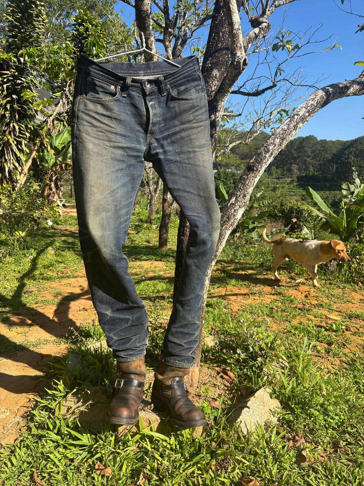 Photo by reothich on March 17, 2026 of the Wesco Morrison in Horween Black Chromexcel Horsehide & Horween Brown Chromexcel Horsehide.