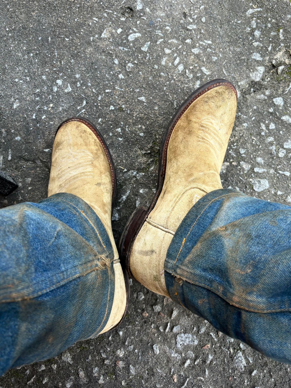 Photo by reothich on October 2, 2024 of the Rios of Mercedes Cowboy Boots in Lickety Split.