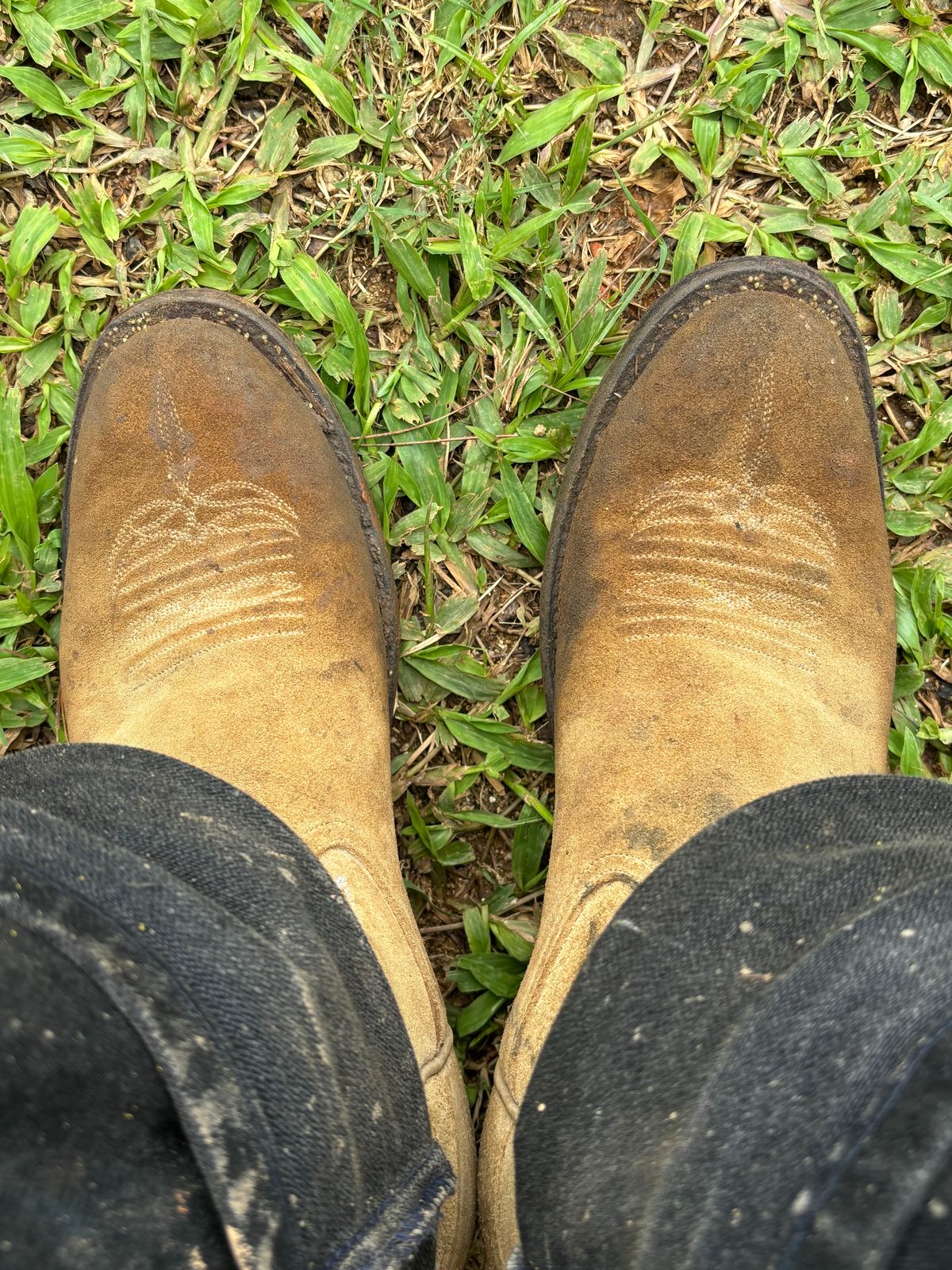 Photo by reothich on October 5, 2024 of the Rios of Mercedes Cowboy Boots in Lickety Split.