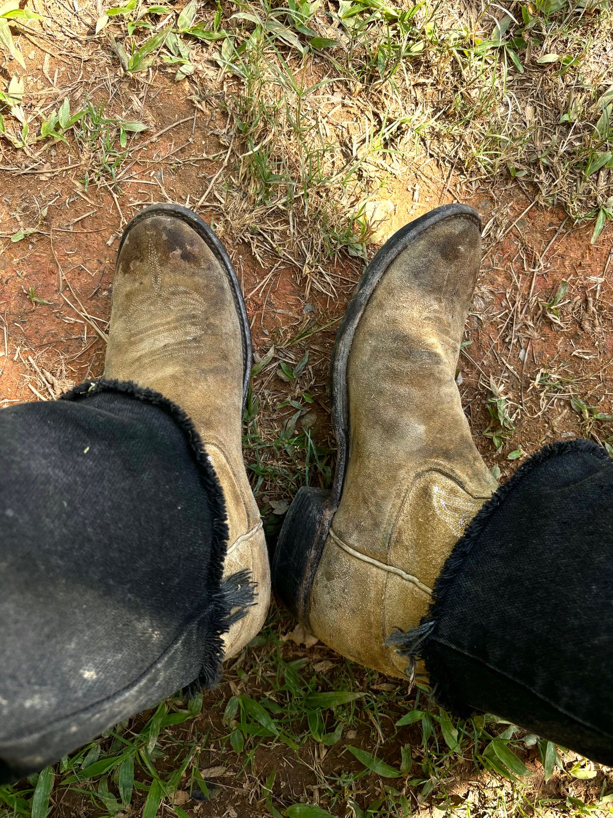 Photo by reothich on October 14, 2024 of the Rios of Mercedes Cowboy Boots in Lickety Split.