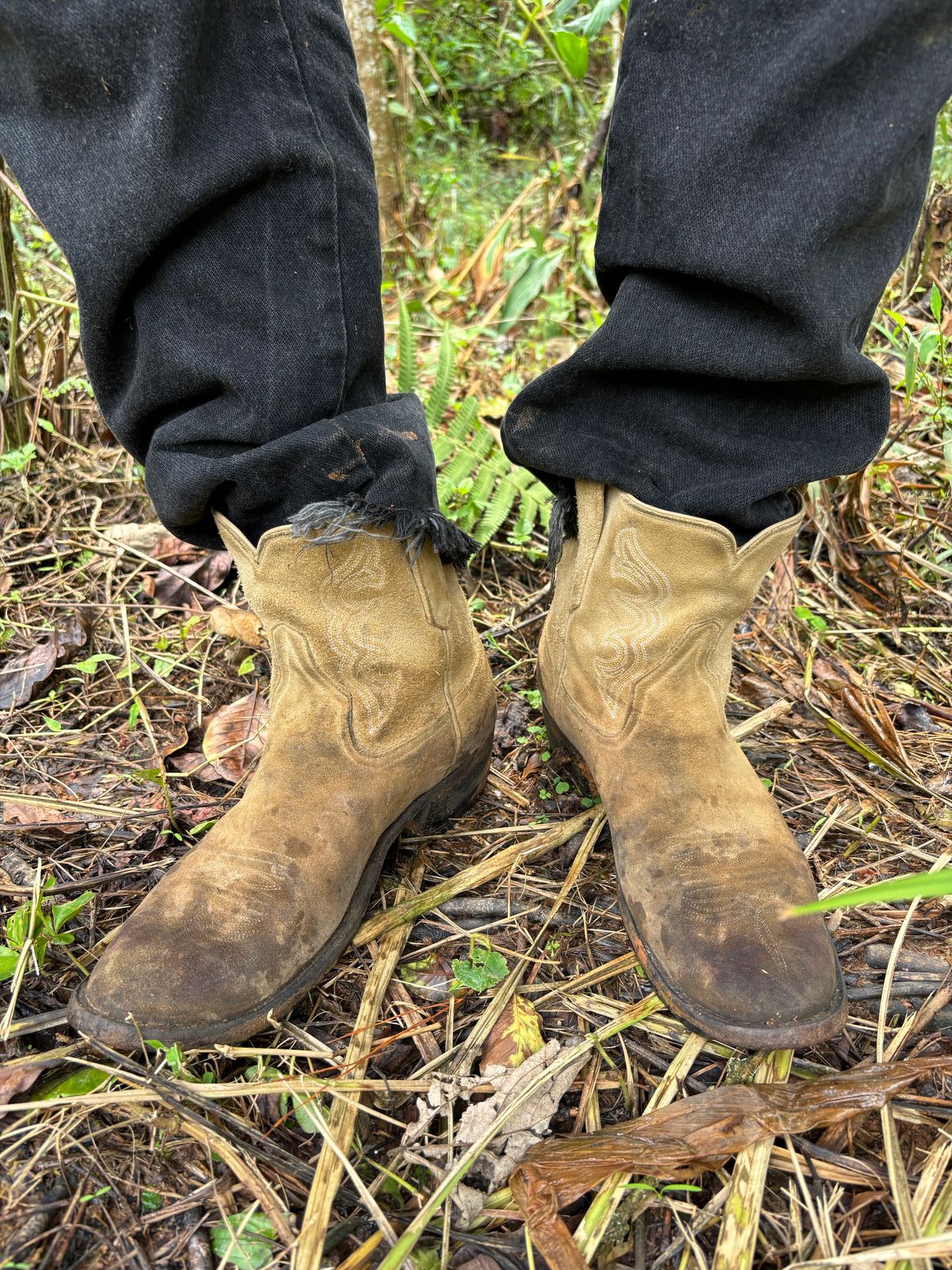 Photo by reothich on October 21, 2024 of the Rios of Mercedes Cowboy Boots in Lickety Split.