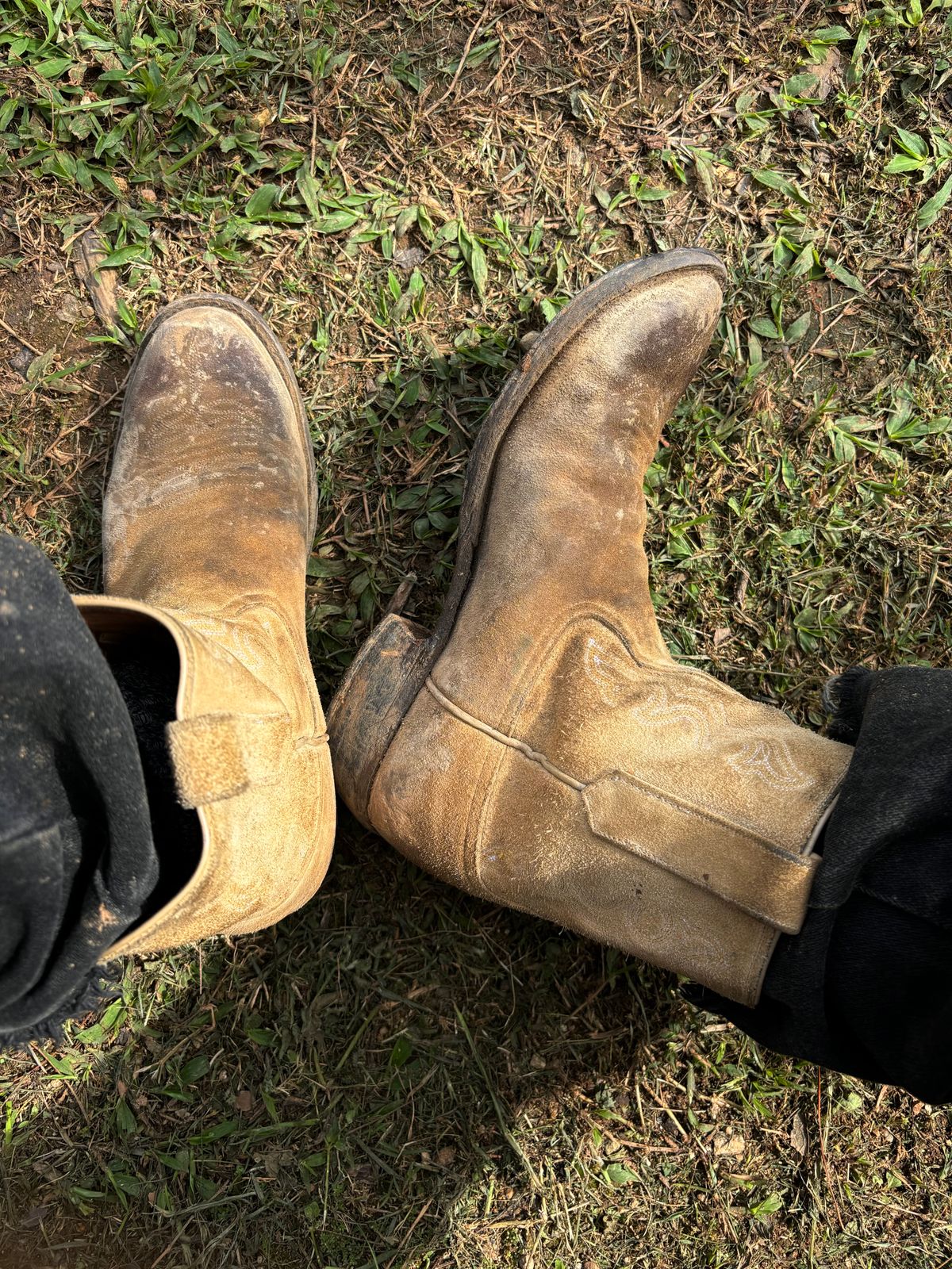 Photo by reothich on October 25, 2024 of the Rios of Mercedes Cowboy Boots in Lickety Split.