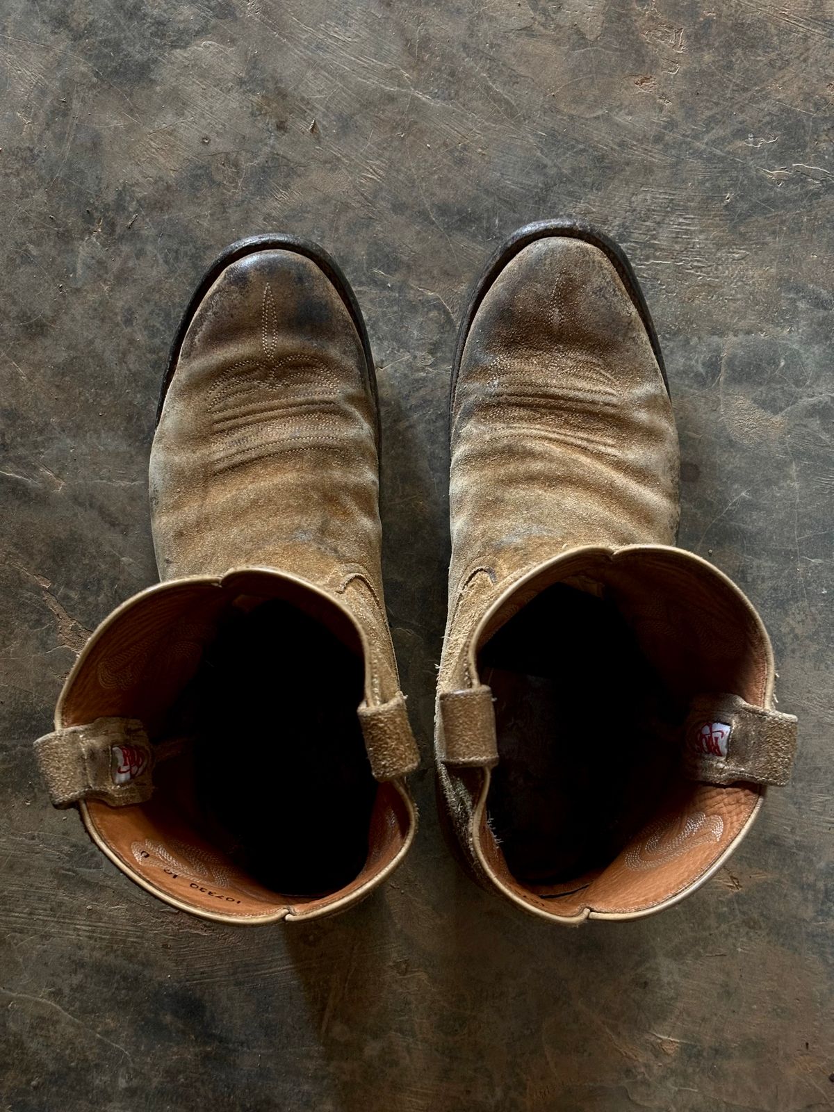 Photo by reothich on March 18, 2025 of the Rios of Mercedes Cowboy Boots in Lickety Split.