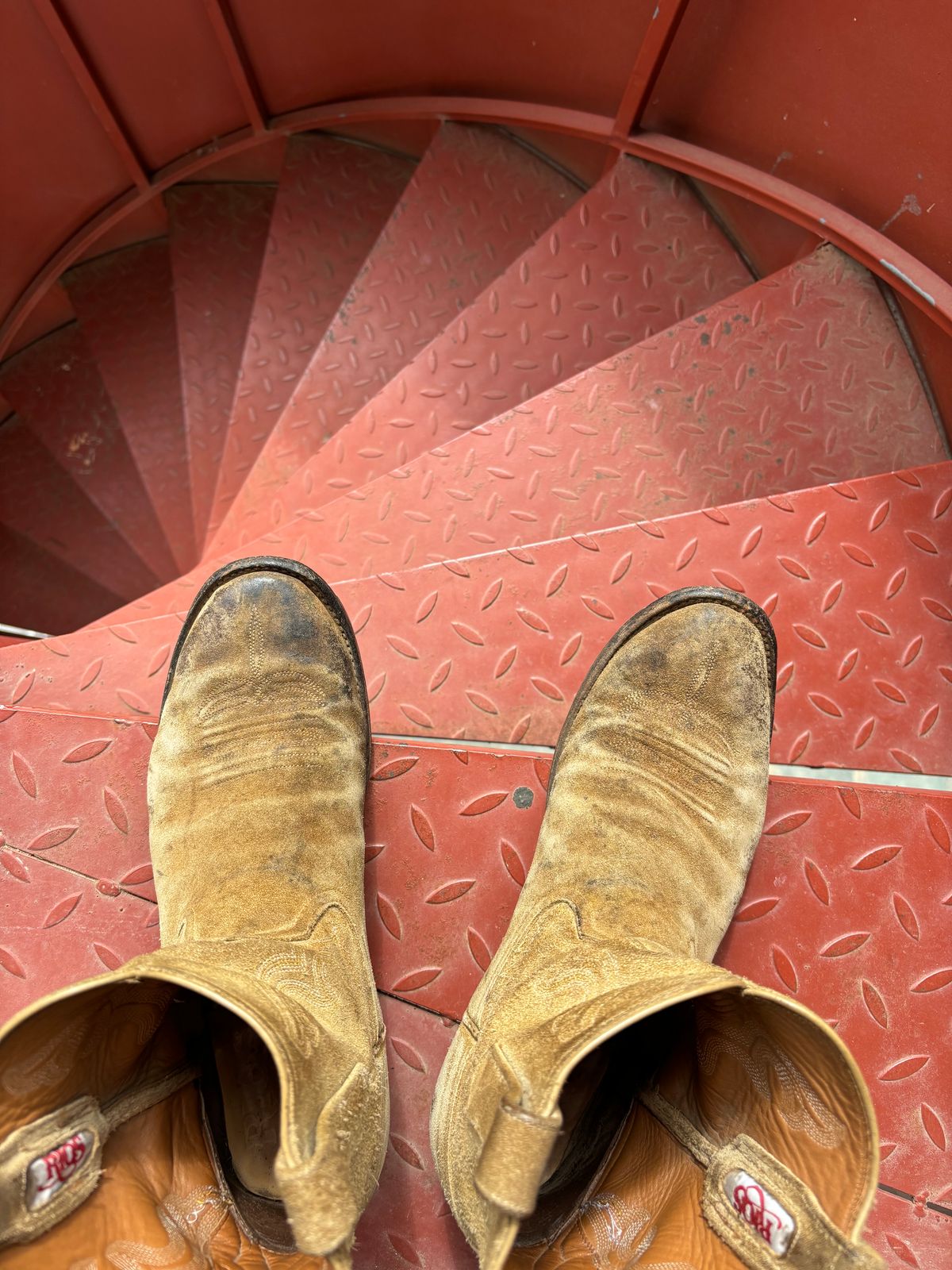 Photo by reothich on March 22, 2025 of the Rios of Mercedes Cowboy Boots in Lickety Split.