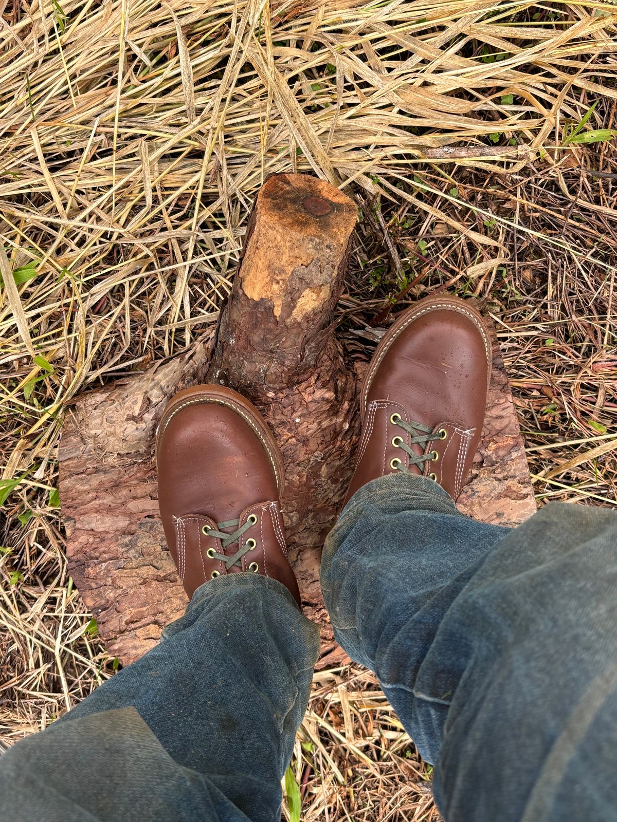 Photo by reothich on October 6, 2024 of the Walker Golden Retriever 984 in Brown Leather.
