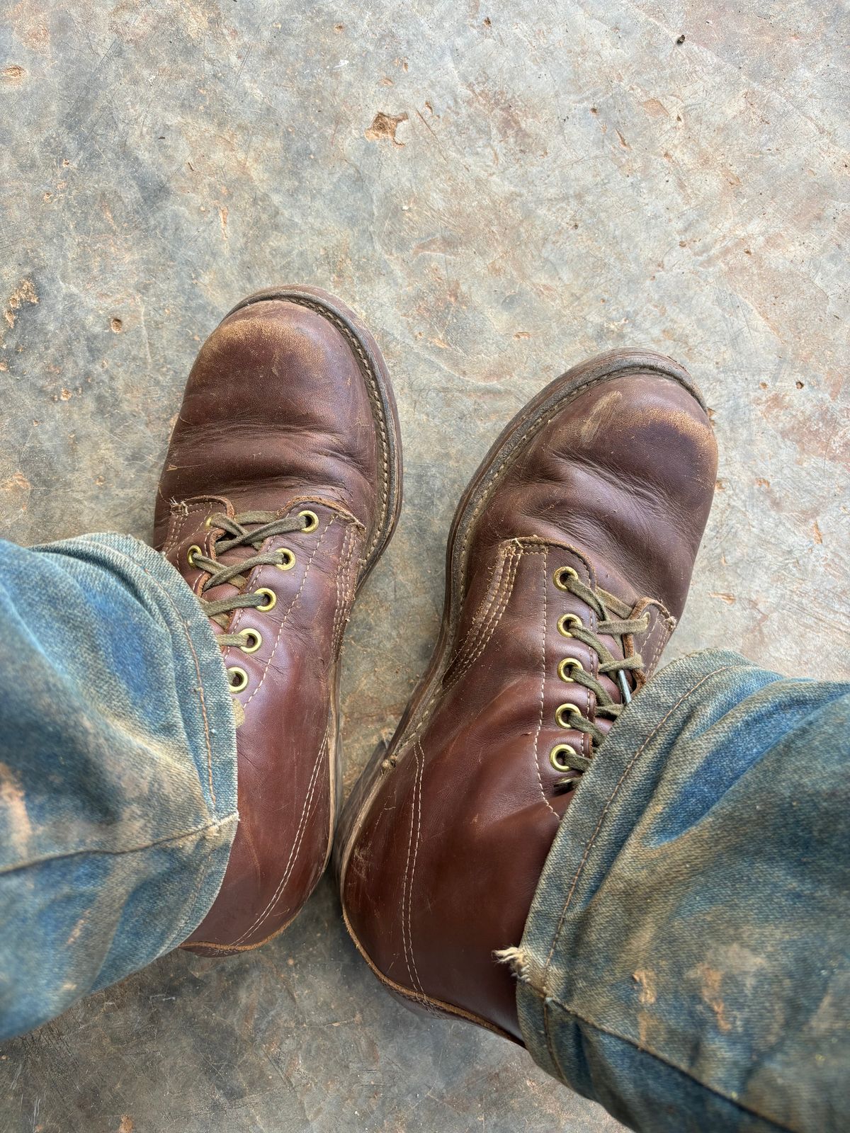 Photo by reothich on November 10, 2024 of the Walker Golden Retriever 984 in Brown Leather.