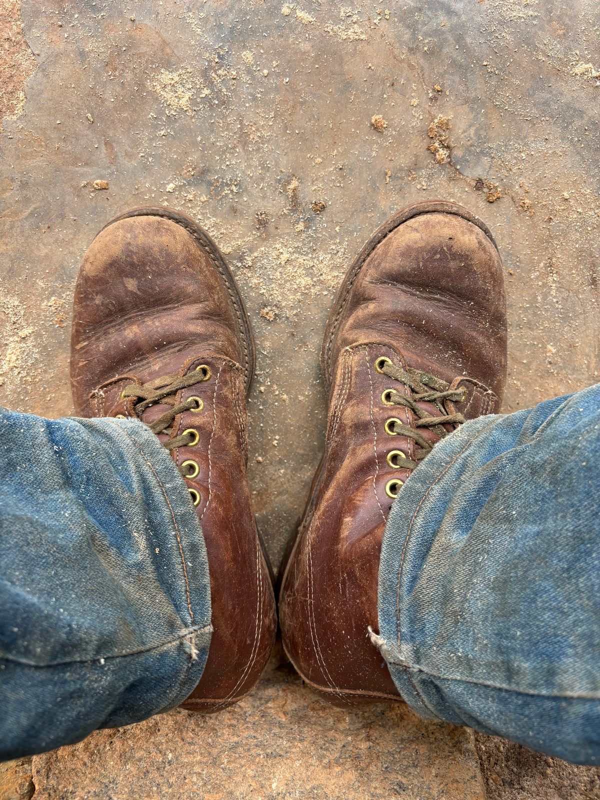 Photo by reothich on February 12, 2025 of the Walker Golden Retriever 984 in Brown Leather.