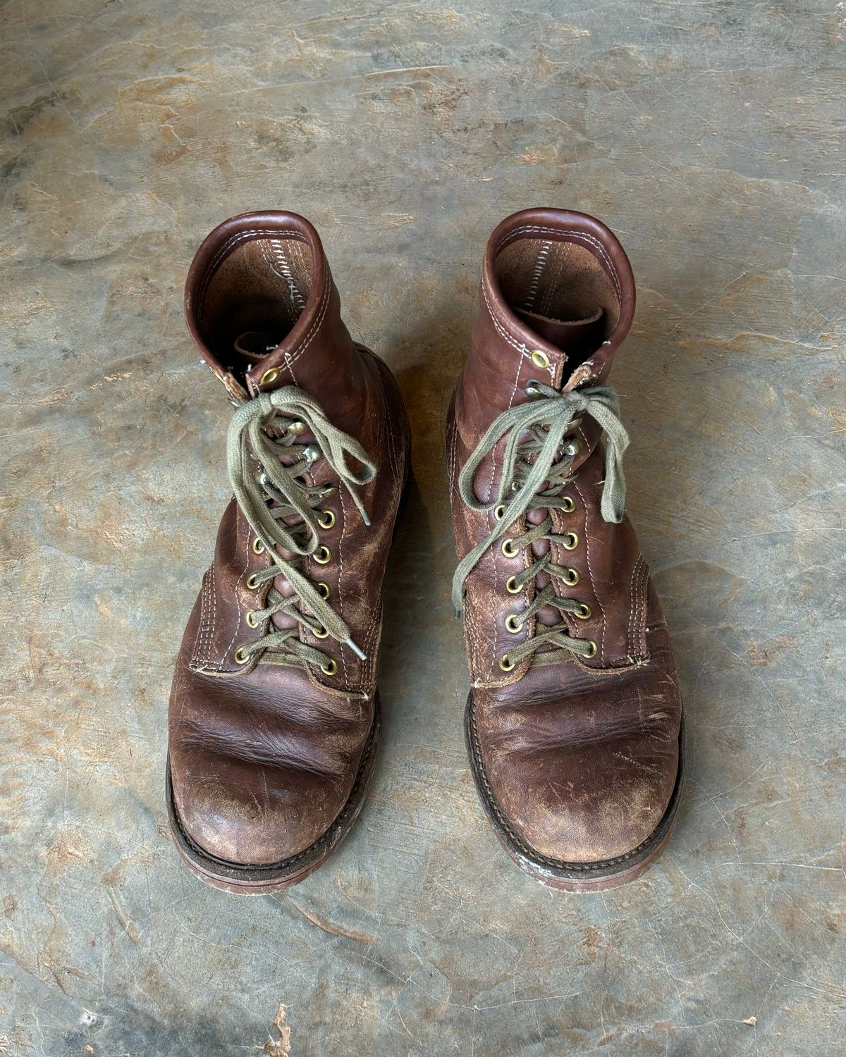Photo by reothich on March 2, 2025 of the Walker Golden Retriever 984 in Brown Leather.