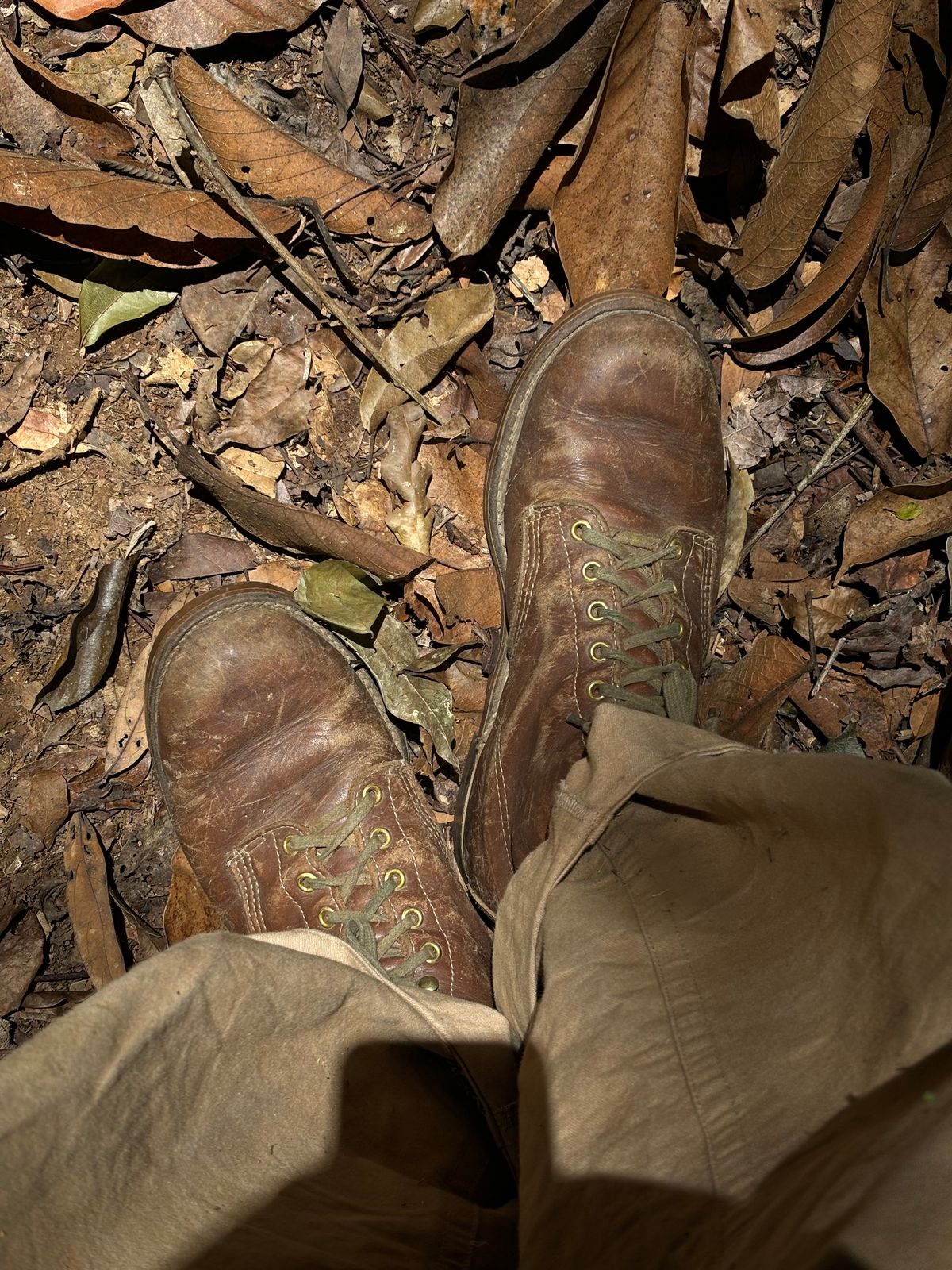 Photo by reothich on March 7, 2025 of the Walker Golden Retriever 984 in Brown Leather.