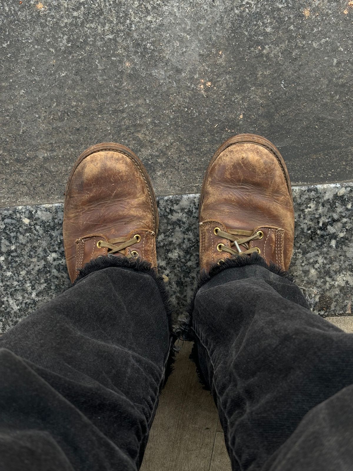 Photo by reothich on March 21, 2025 of the Walker Golden Retriever 984 in Brown Leather.
