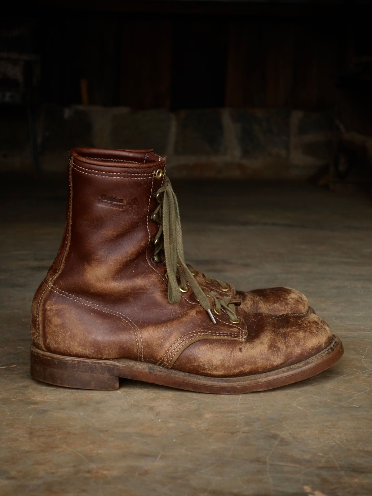 Photo by reothich on March 30, 2025 of the Walker Golden Retriever 984 in Brown Leather.