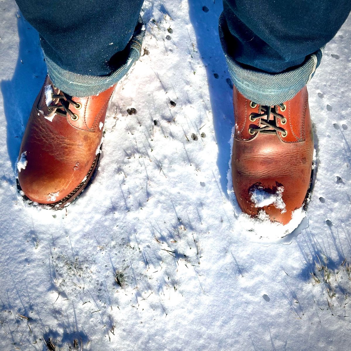 Photo by selvedge.and.boots on December 15, 2024 of the John Lofgren Steel Gang in Shinki Camel Horsebutt.