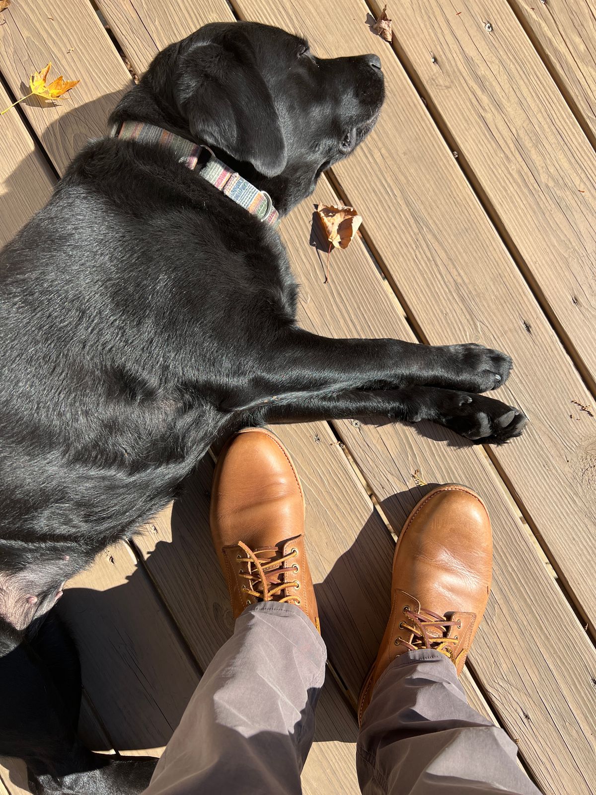 Photo by Benjamnb on November 3, 2022 of the Oak Street Bootmakers Trench Boot in Horween Natural Chromexcel.