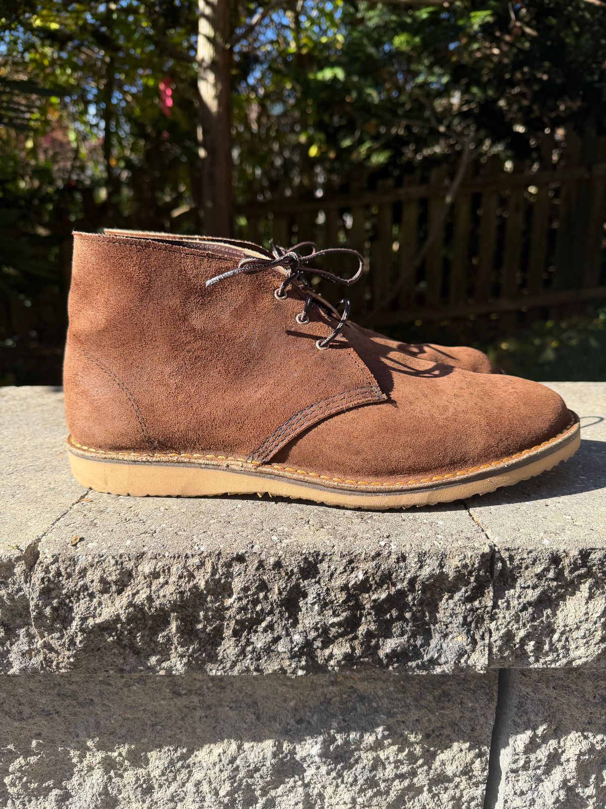 Photo by Benjamnb on November 4, 2025 of the Red Wing Weekender Chukka in Chocolate Muleskinner.