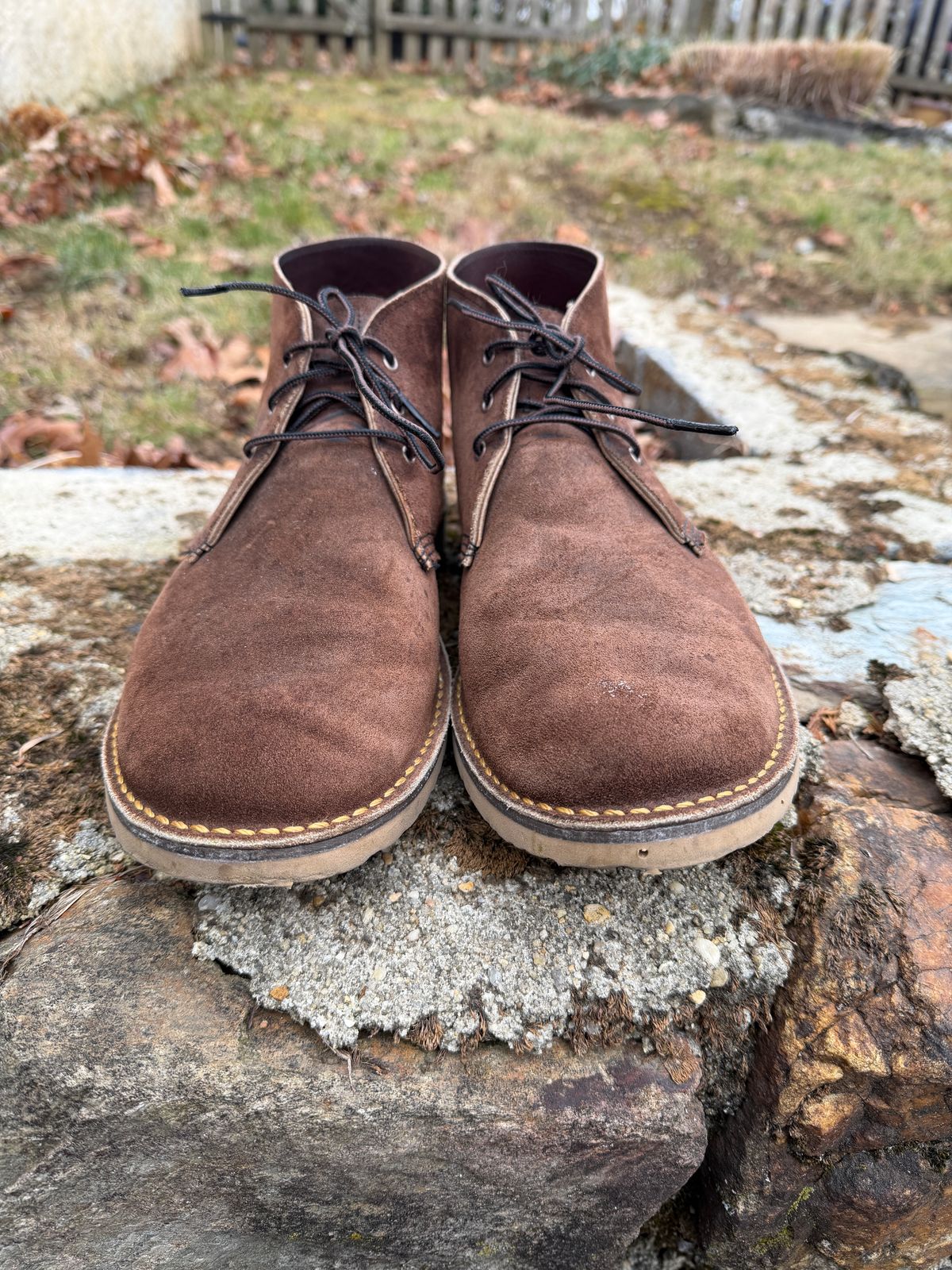 Photo by Benjamnb on December 4, 2025 of the Red Wing Weekender Chukka in Chocolate Muleskinner.