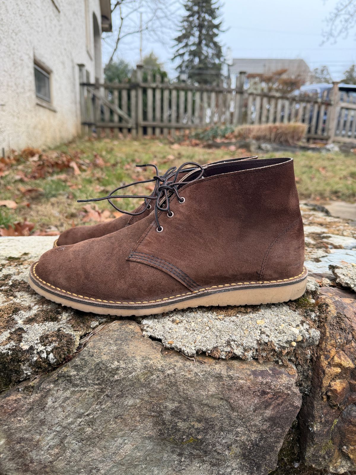 Photo by Benjamnb on December 4, 2025 of the Red Wing Weekender Chukka in Chocolate Muleskinner.