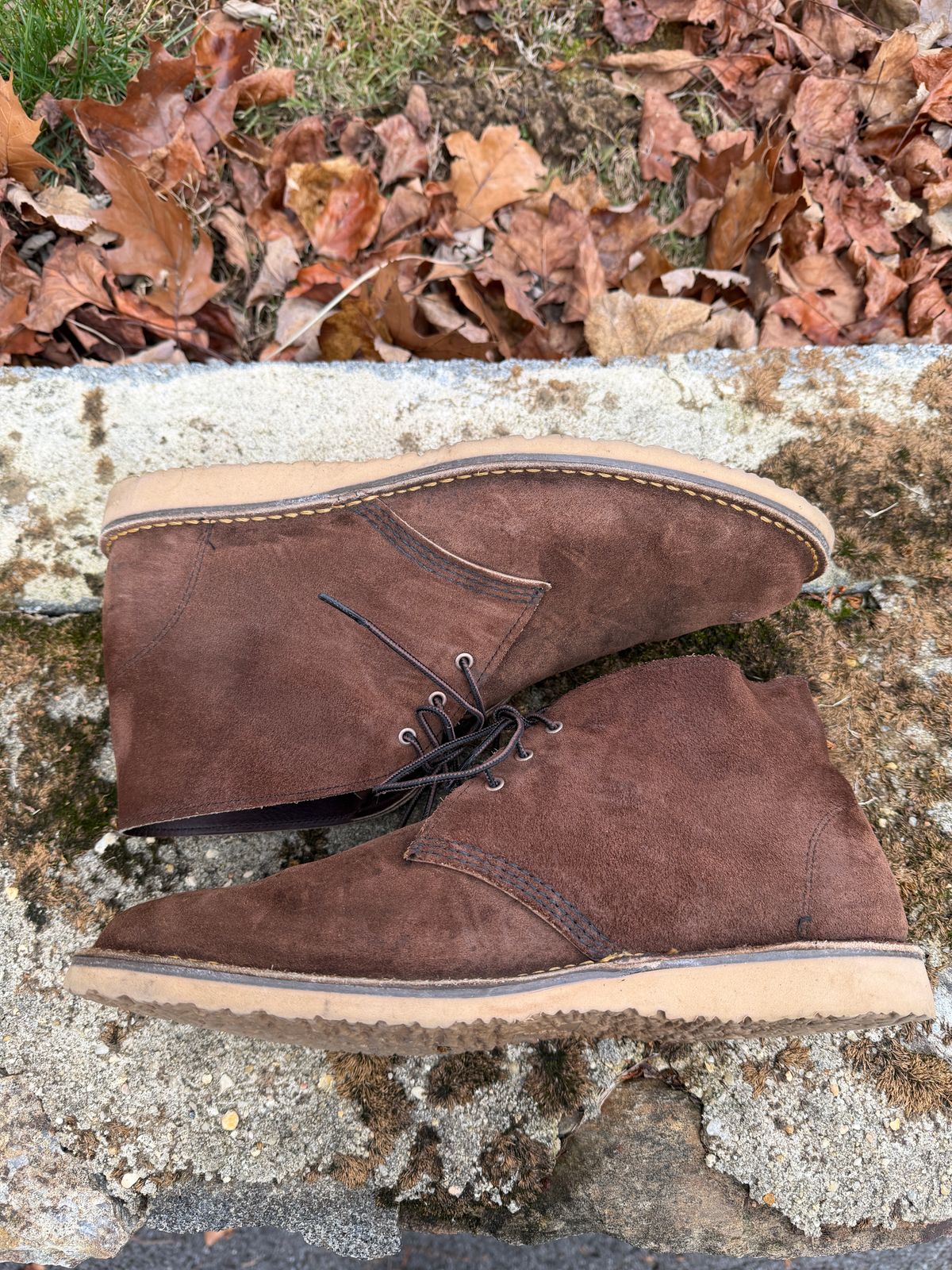 Photo by Benjamnb on December 4, 2025 of the Red Wing Weekender Chukka in Chocolate Muleskinner.