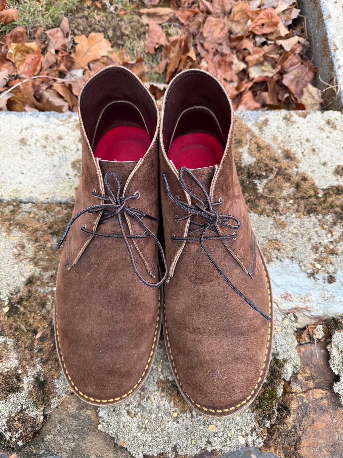 Photo by Benjamnb on December 4, 2025 of the Red Wing Weekender Chukka in Chocolate Muleskinner.