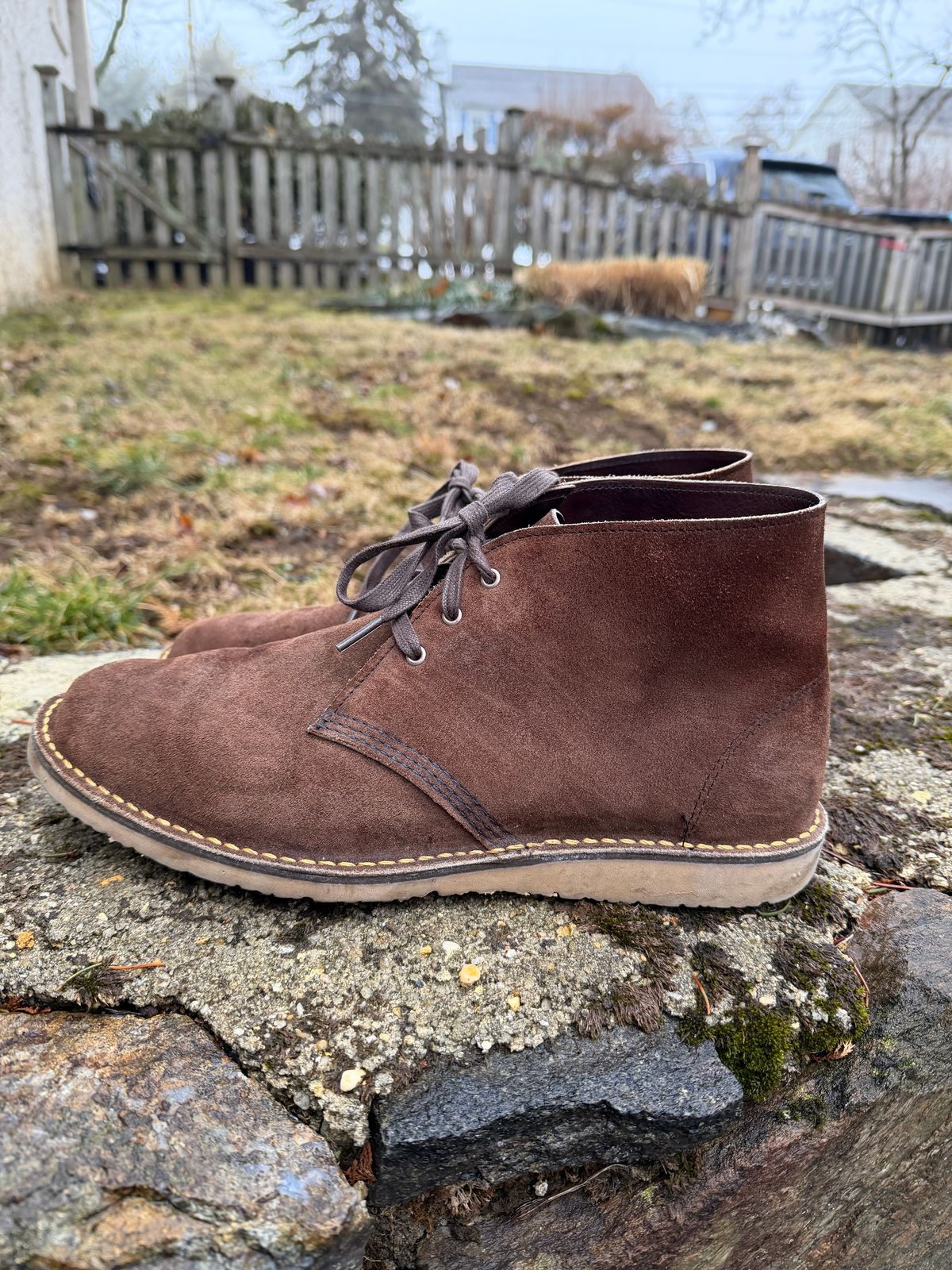 Photo by Benjamnb on March 3, 2026 of the Red Wing Weekender Chukka in Chocolate Muleskinner.