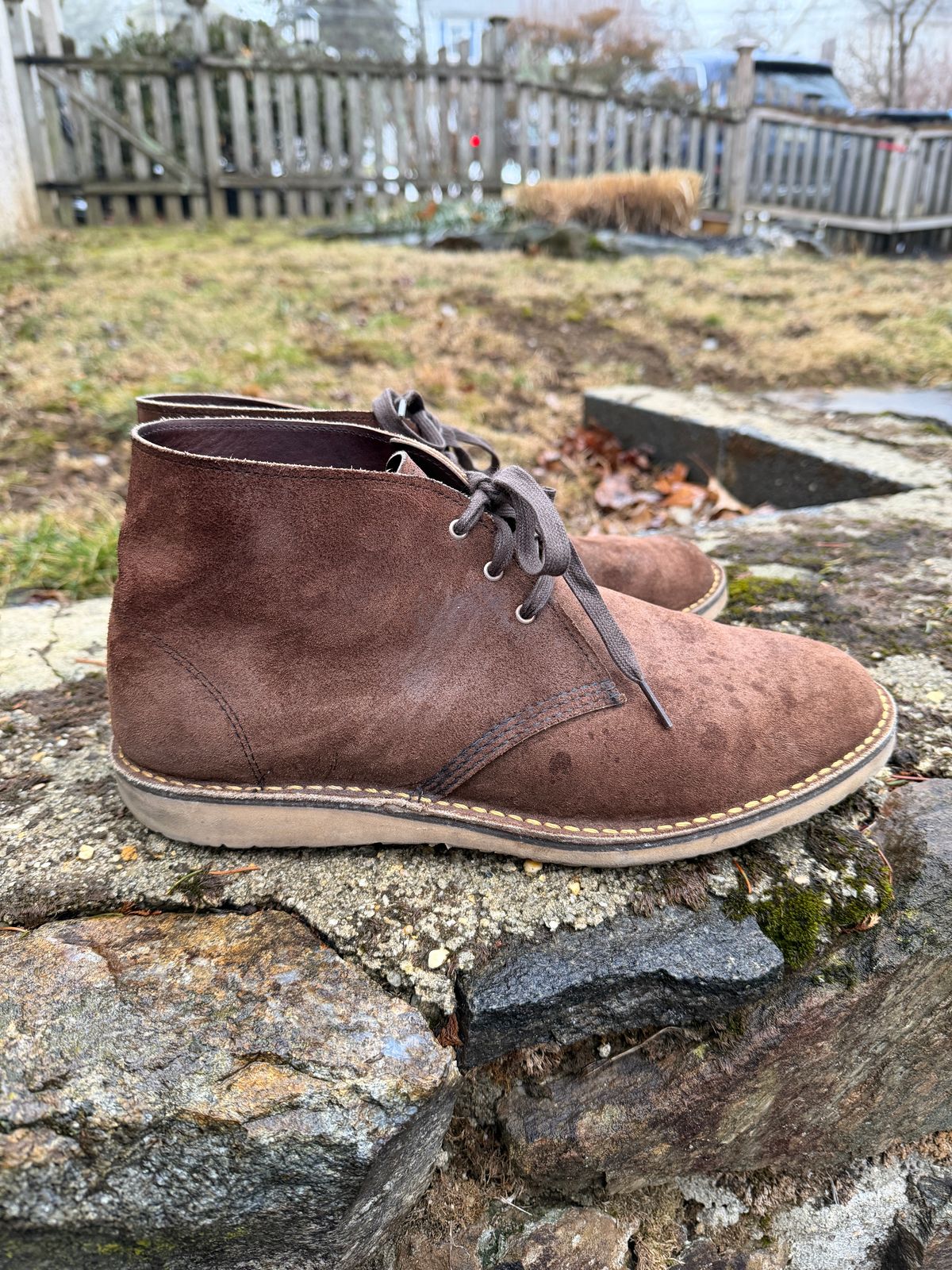 Photo by Benjamnb on March 3, 2026 of the Red Wing Weekender Chukka in Chocolate Muleskinner.