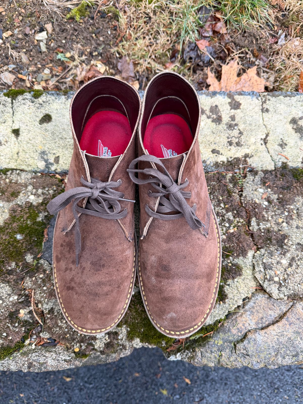 Photo by Benjamnb on March 3, 2026 of the Red Wing Weekender Chukka in Chocolate Muleskinner.