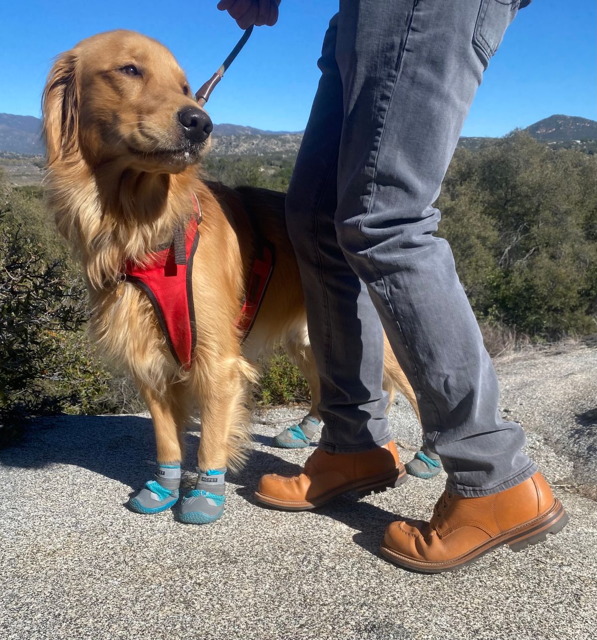 Photo by APoll95 on December 6, 2022 of the Grant Stone Brass Boot in Horween Natural Essex.