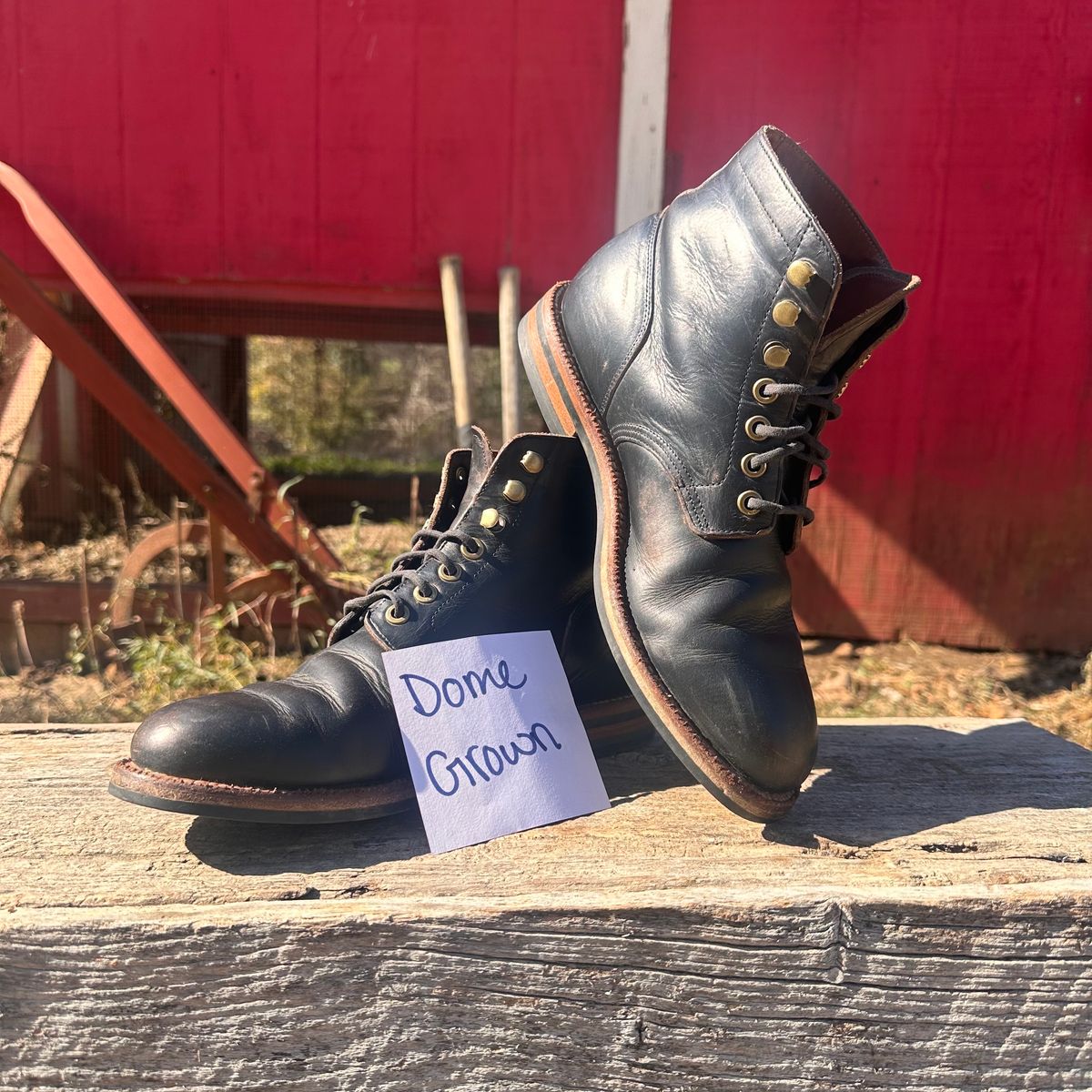 Photo by lydialove on November 4, 2023 of the Grant Stone Nora Boot in Horween Black Chromexcel.
