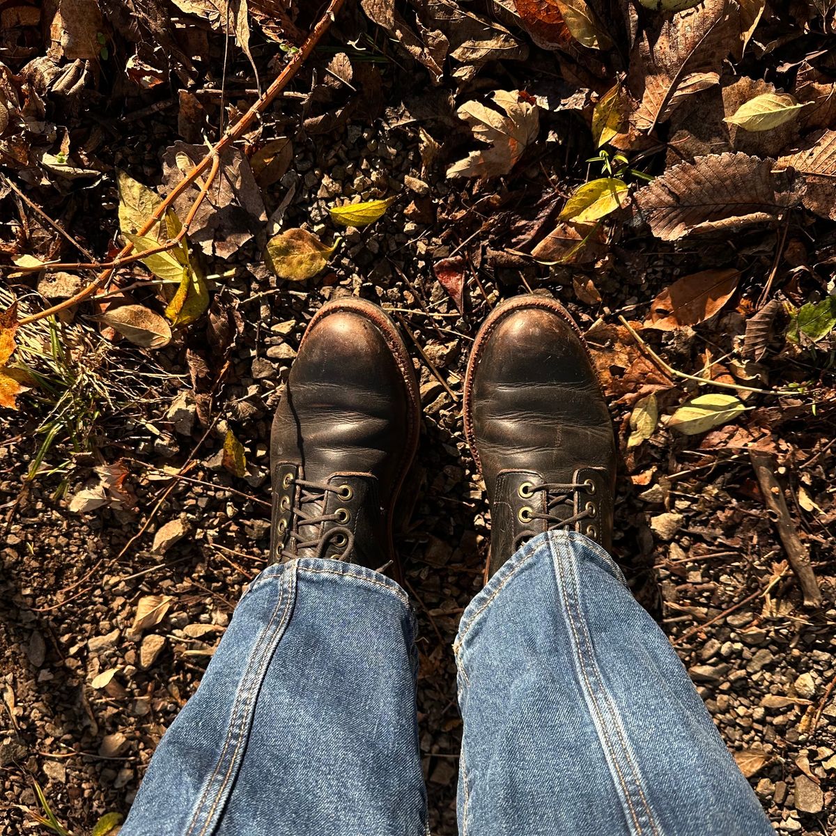 Photo by lydialove on December 4, 2023 of the Grant Stone Nora Boot in Horween Black Chromexcel.