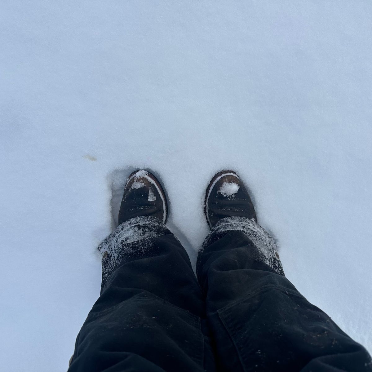 Photo by lydialove on January 16, 2024 of the Grant Stone Nora Boot in Horween Black Chromexcel.