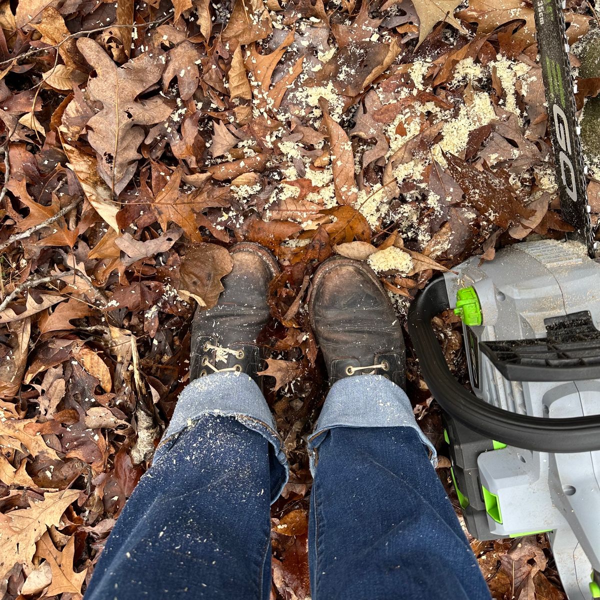 Photo by lydialove on February 11, 2024 of the Grant Stone Nora Boot in Horween Black Chromexcel.