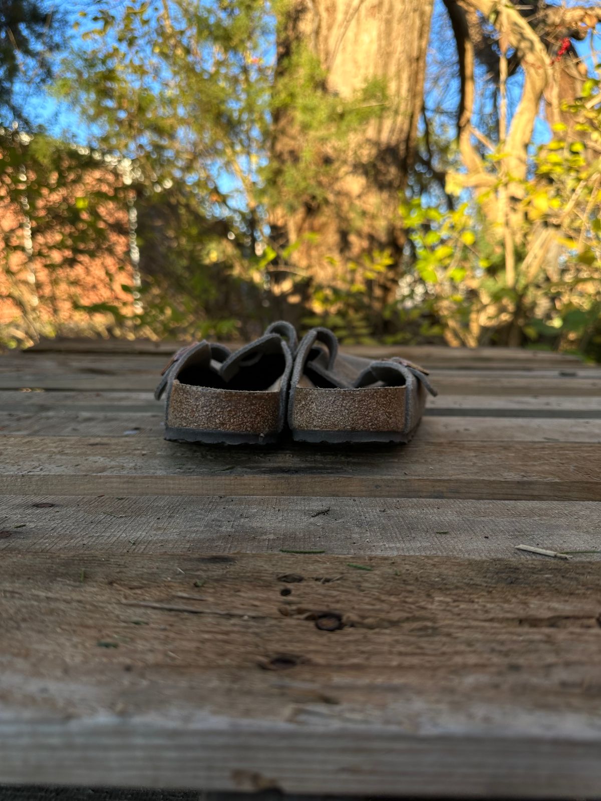 Photo by lydialove on December 4, 2023 of the Birkenstock Boston in Taupe Suede.