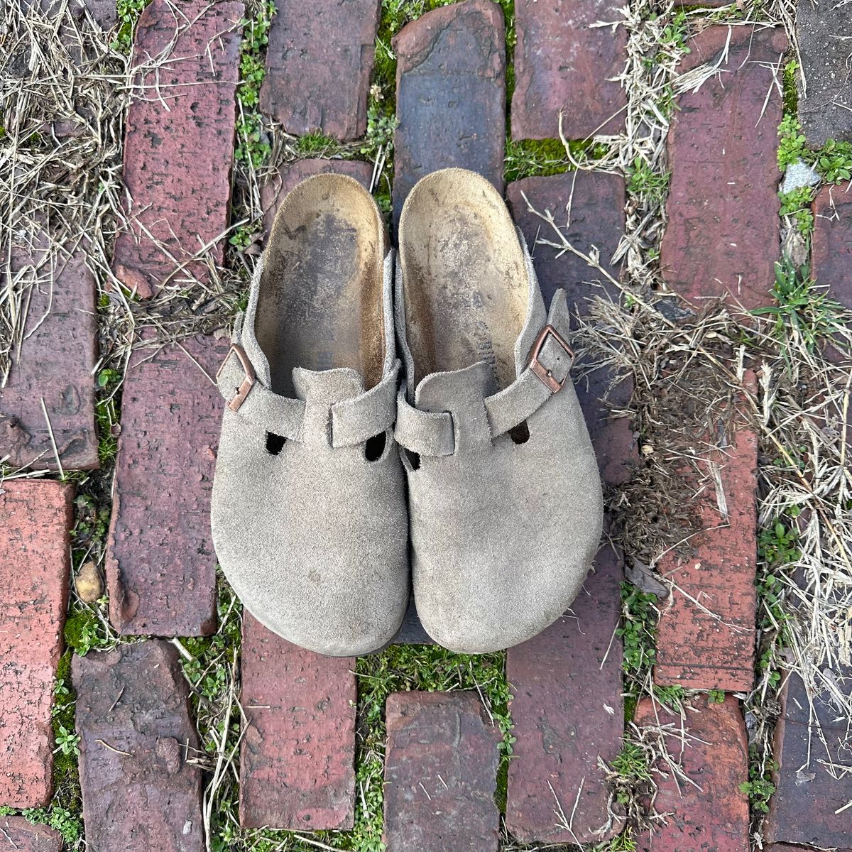 Photo by lydialove on March 2, 2024 of the Birkenstock Boston in Taupe Suede.