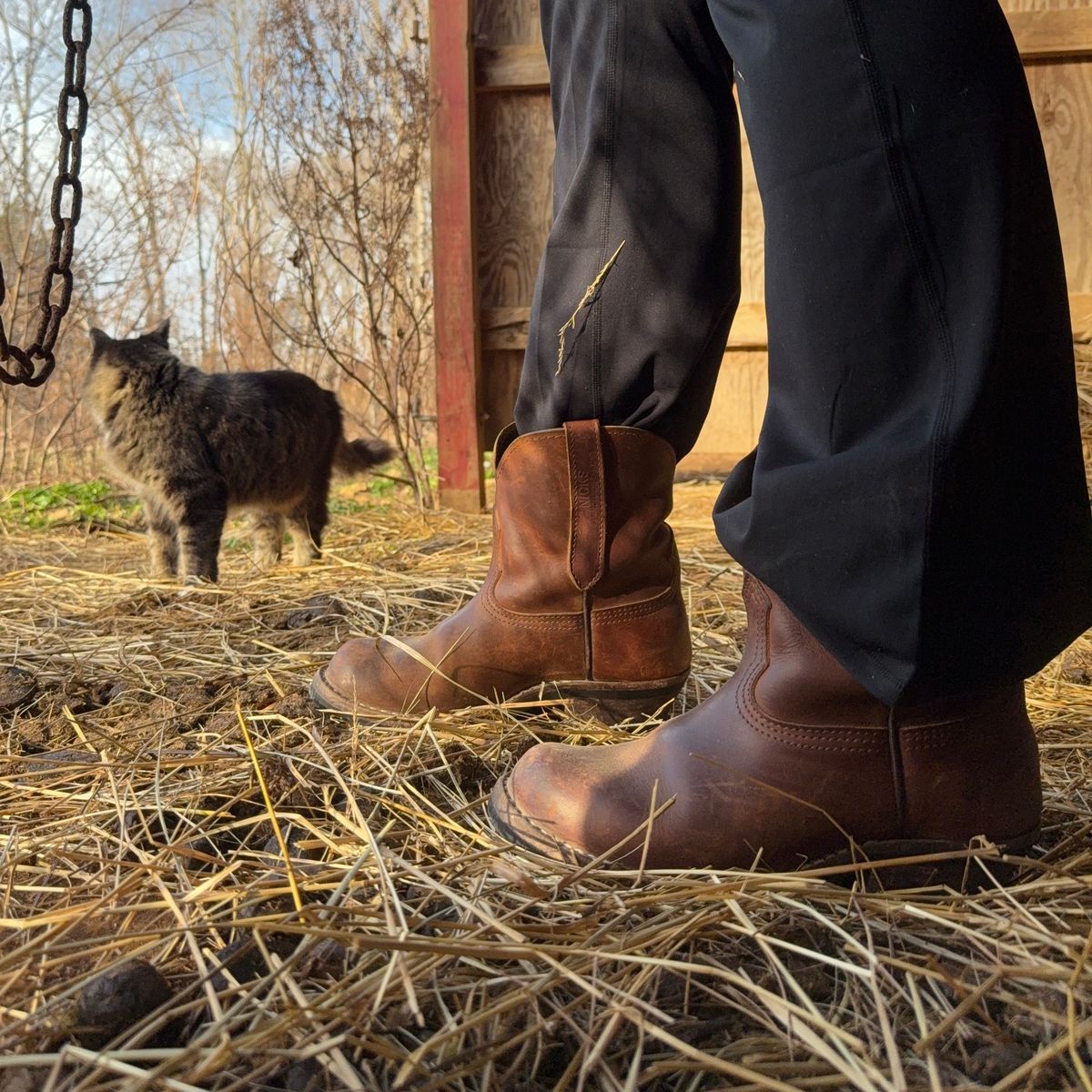 Photo by lydialove on January 4, 2026 of the Nicks Palouse in Horween Orange Predator.