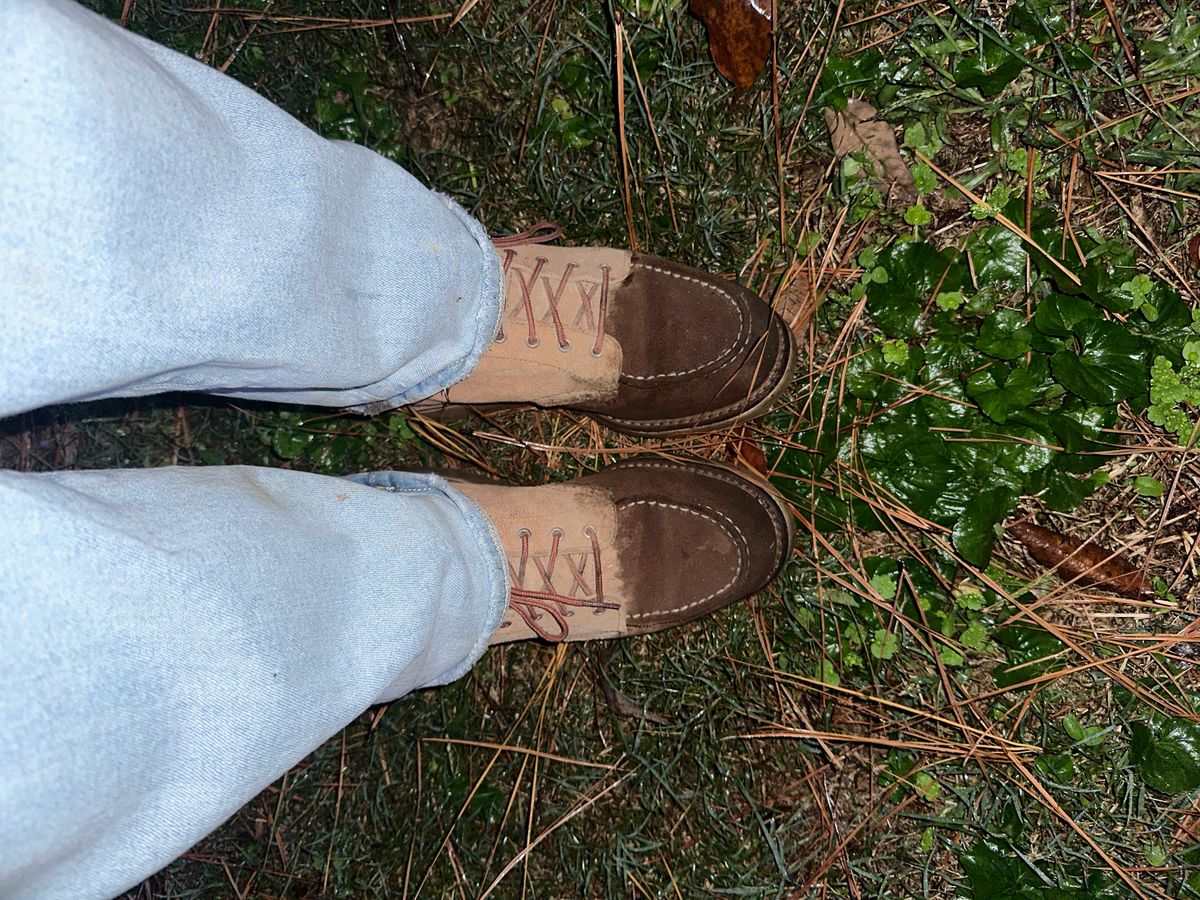 Photo by lydialove on November 1, 2024 of the Red Wing 6-Inch Classic Moc in Dusty Rose Roughout Abilene Leather.