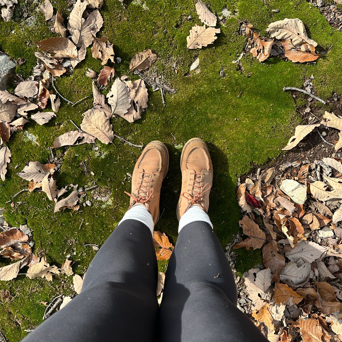 Photo by lydialove on November 17, 2024 of the Red Wing 6-Inch Classic Moc in Dusty Rose Roughout Abilene Leather.