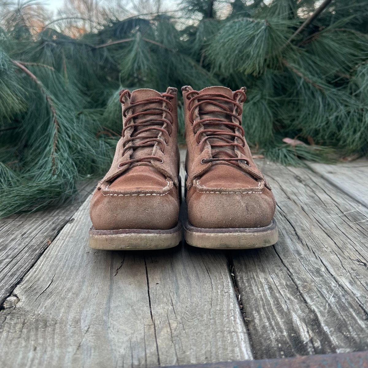 Photo by lydialove on December 5, 2024 of the Red Wing 6-Inch Classic Moc in Dusty Rose Roughout Abilene Leather.