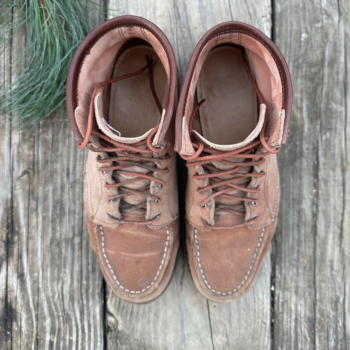 Photo by lydialove on December 5, 2024 of the Red Wing 6-Inch Classic Moc in Dusty Rose Roughout Abilene Leather.
