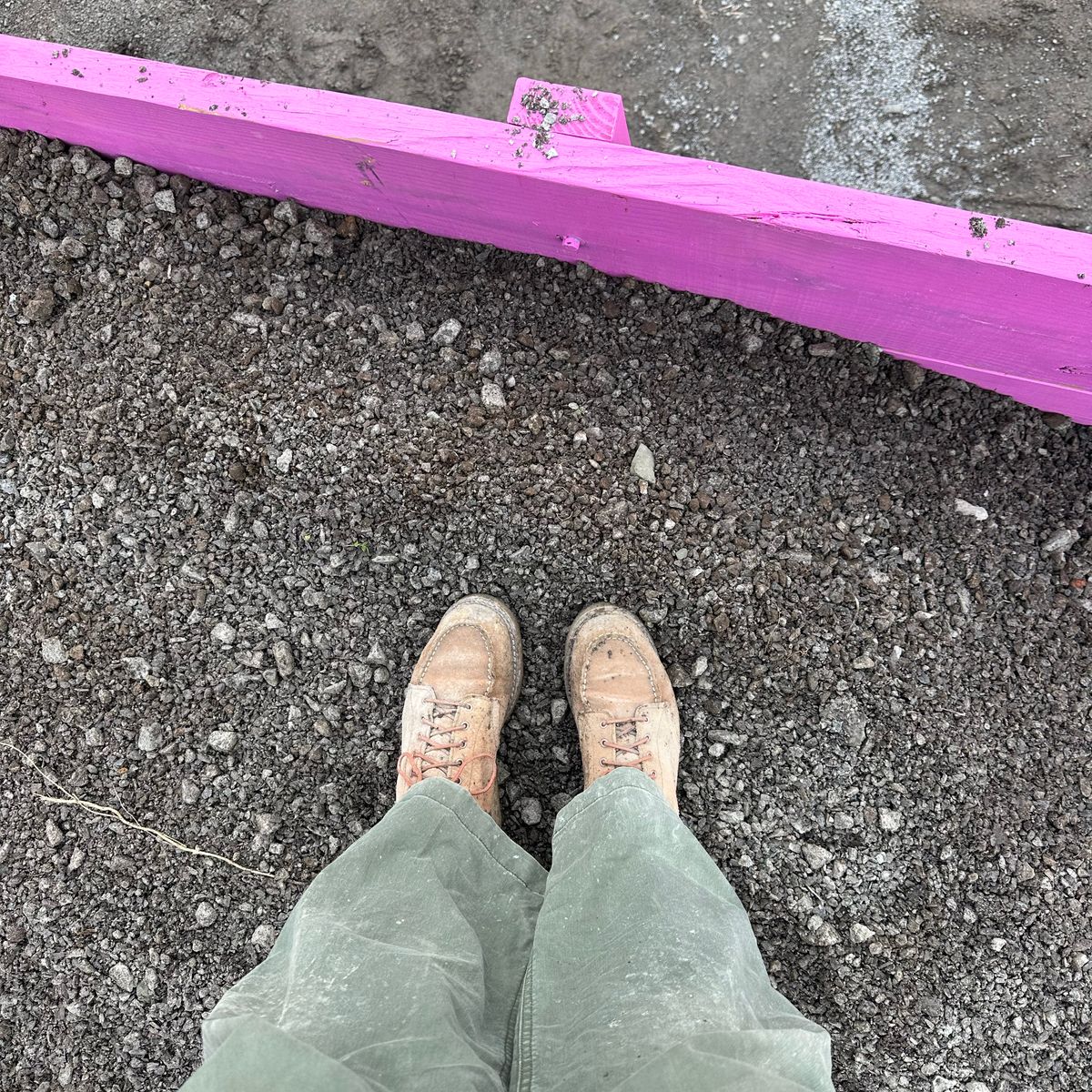 Photo by lydialove on December 27, 2024 of the Red Wing 6-Inch Classic Moc in Dusty Rose Roughout Abilene Leather.