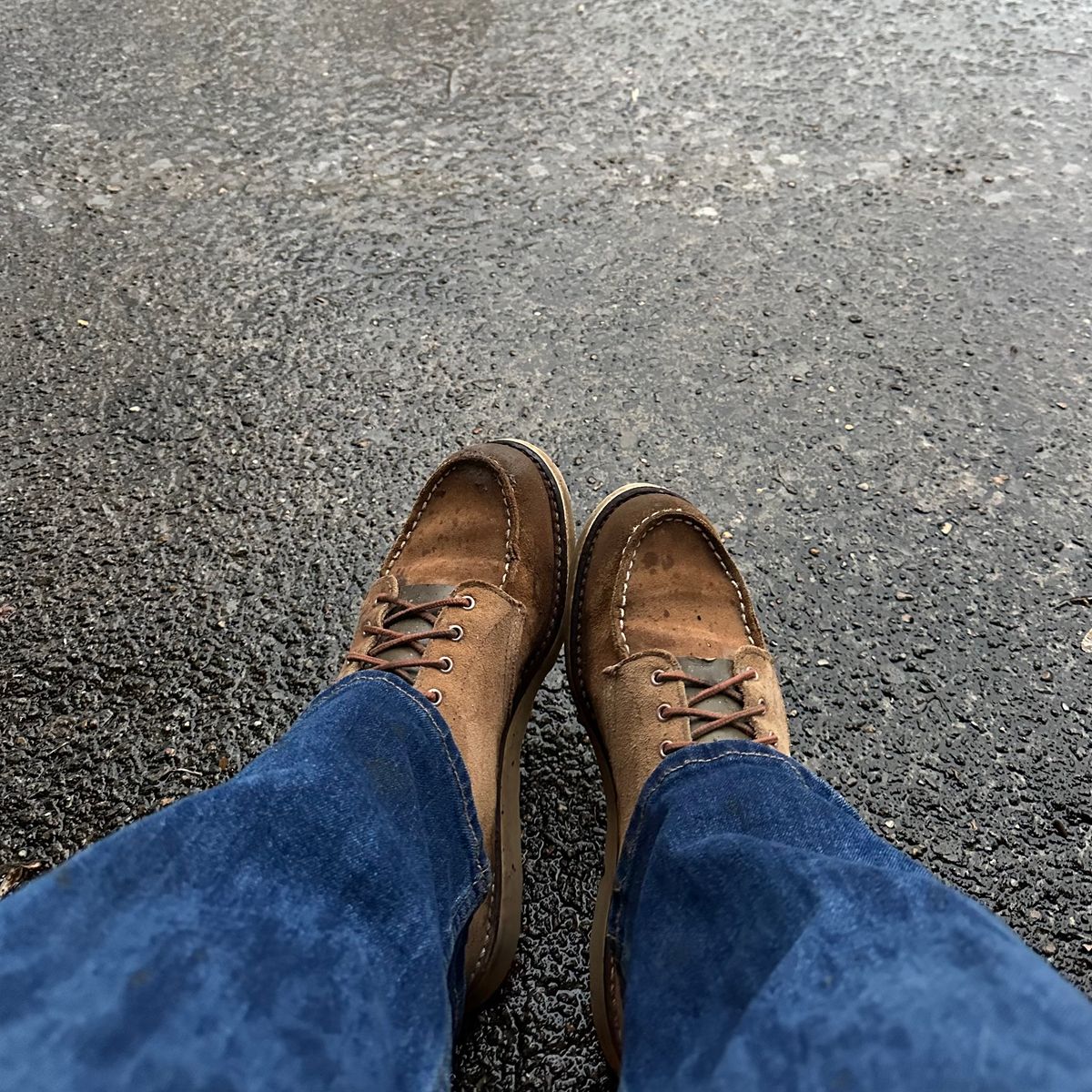 Photo by lydialove on January 5, 2025 of the Red Wing 6-Inch Classic Moc in Dusty Rose Roughout Abilene Leather.