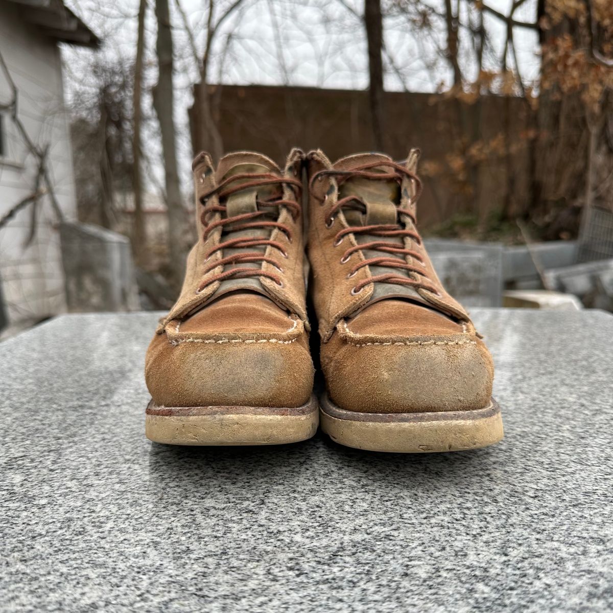 Photo by lydialove on February 5, 2025 of the Red Wing 6-Inch Classic Moc in Dusty Rose Roughout Abilene Leather.