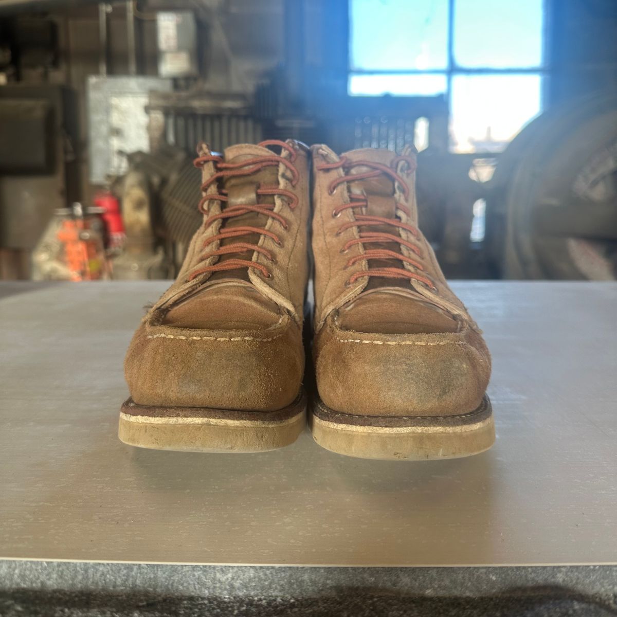 Photo by lydialove on March 3, 2025 of the Red Wing 6-Inch Classic Moc in Dusty Rose Roughout Abilene Leather.