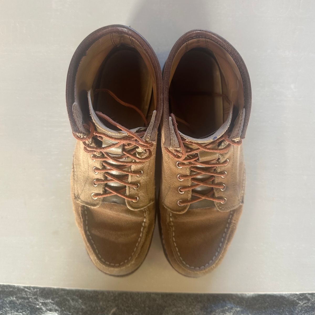 Photo by lydialove on March 3, 2025 of the Red Wing 6-Inch Classic Moc in Dusty Rose Roughout Abilene Leather.