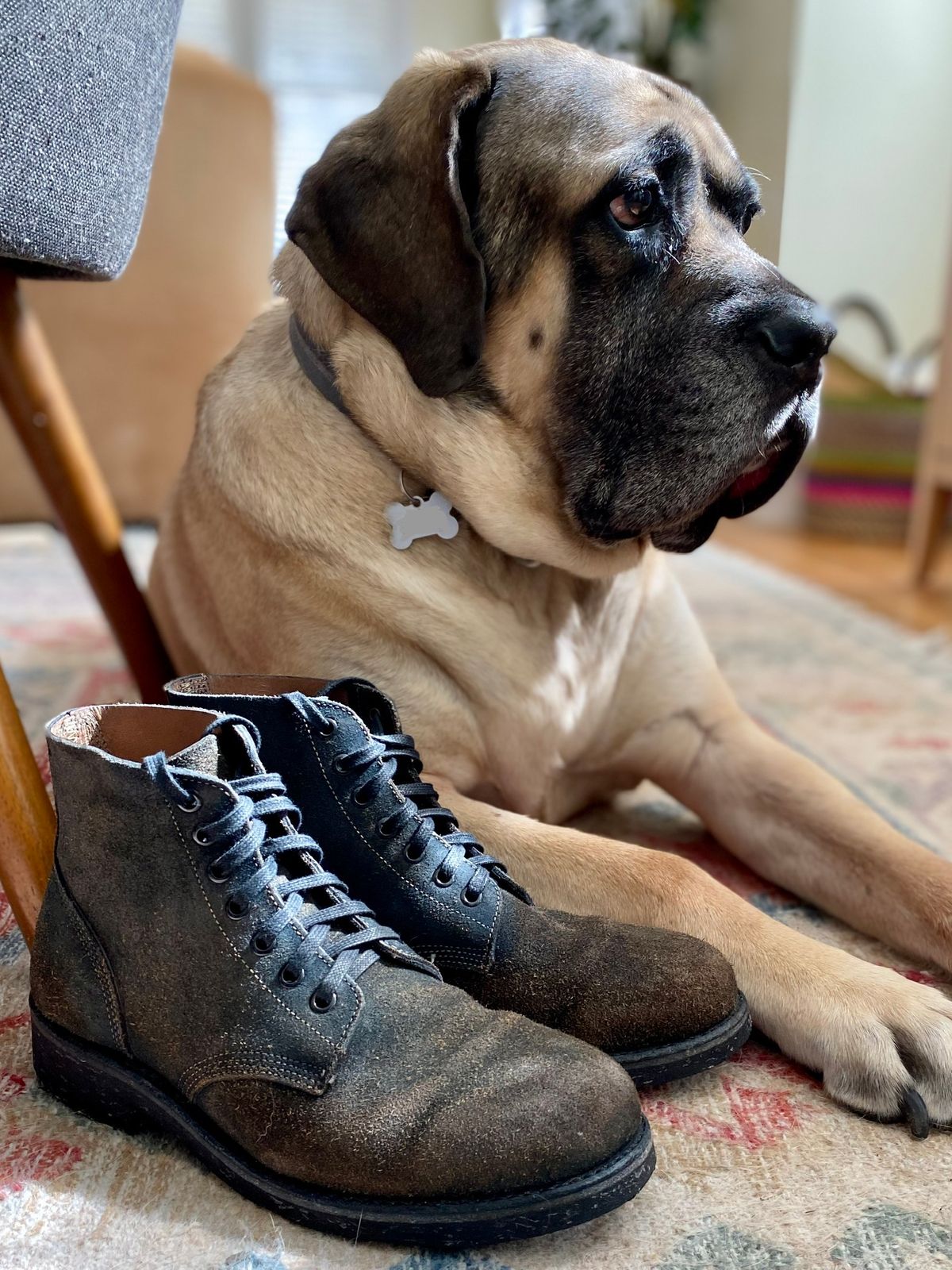 Photo by erratic on April 1, 2023 of the Oak Street Bootmakers Field Boot in Horween Natural Indigo Chromexcel Roughout.