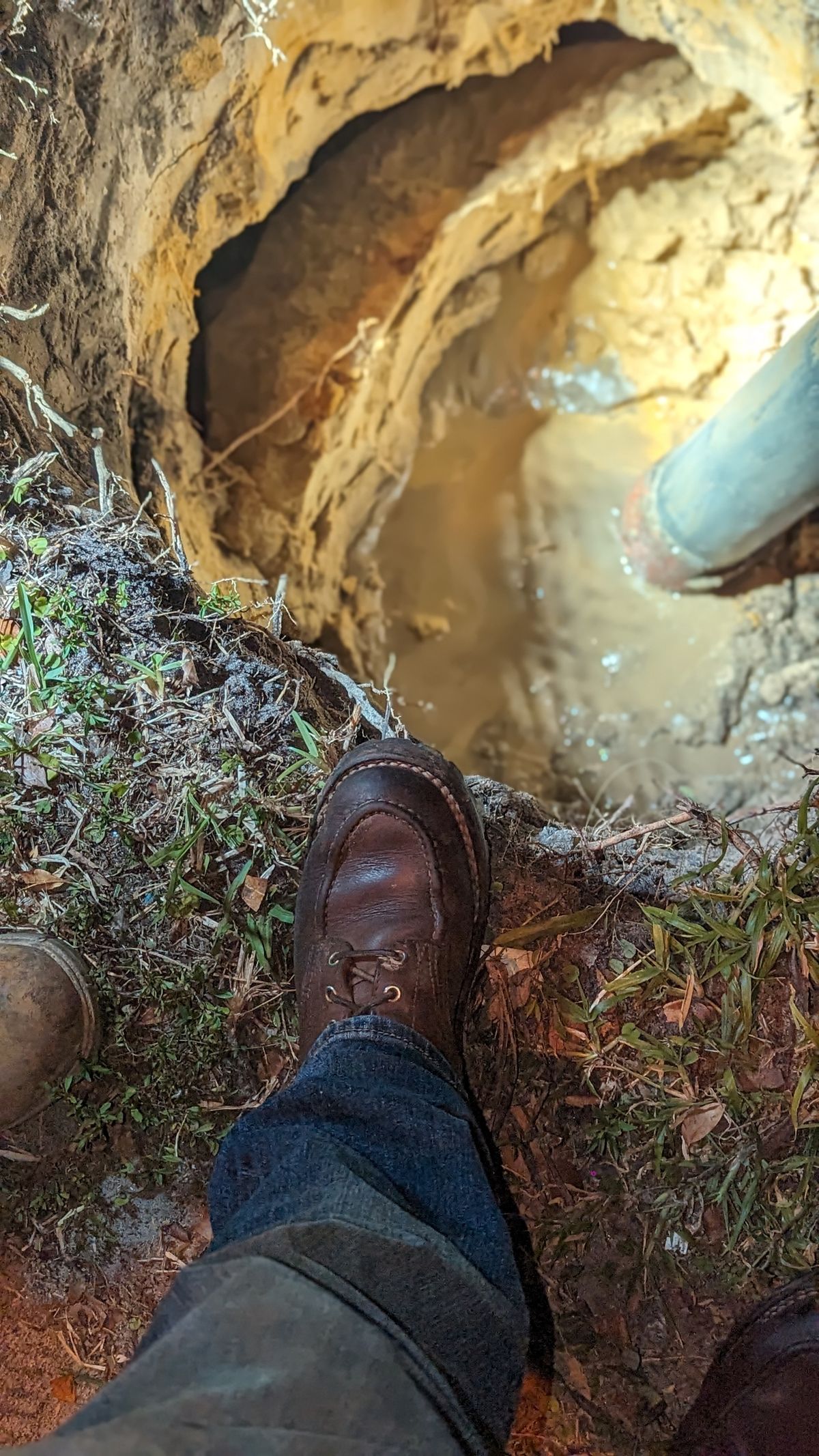 Photo by Briansbootpage on February 27, 2024 of the Nicks Moc Toe in Seidel 1964 Brown.