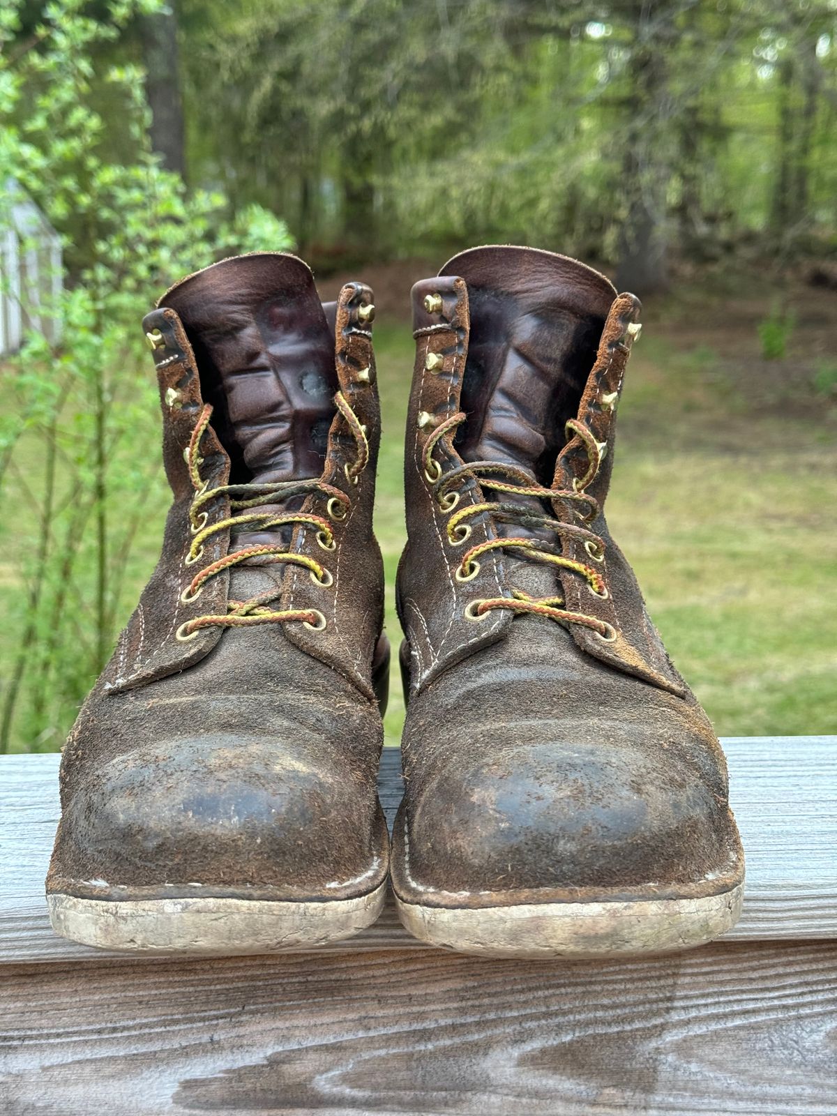 Photo by P2K on May 6, 2024 of the White's Foreman in Brown Distress.