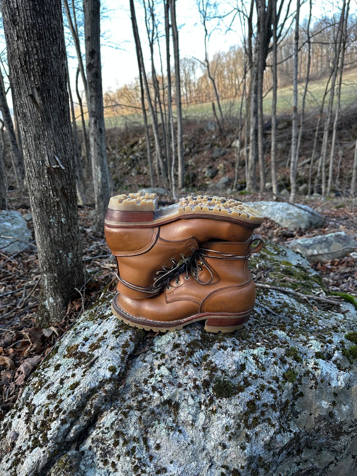 Photo by P2K on January 1, 2024 of the Nicks DomePro in Seidel 1964 Tan.